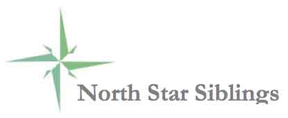 minnesota logo