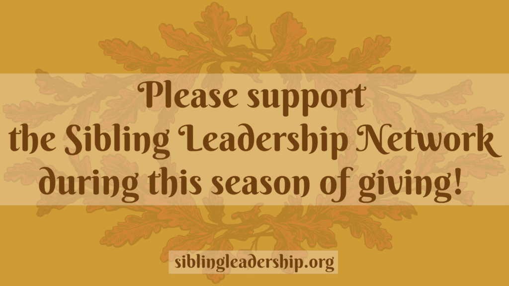 Please support the Sibling Leadership Network during this season of giving!