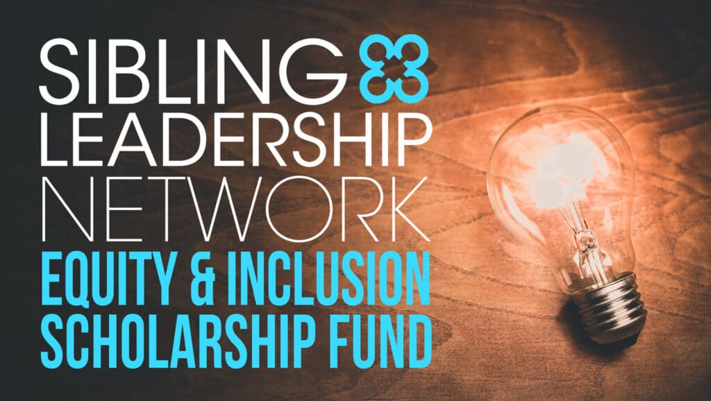 SLN Equity & Inclusion Scholarship Fund title image with a lit lightbulb on a wooden surface